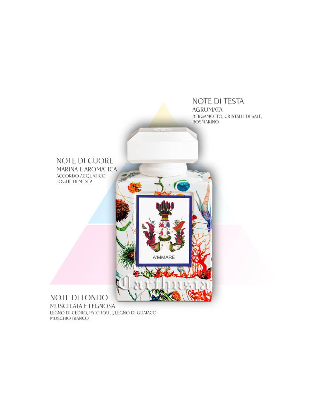 A’MMARE EAU DE PARFUM CARTHUSIA