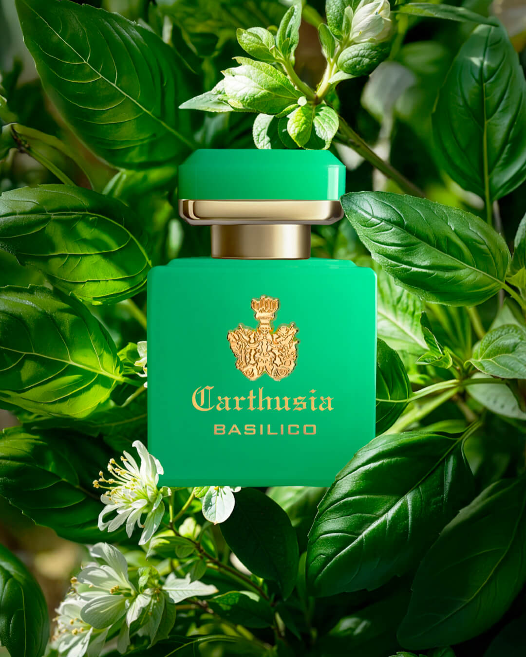 INTENSO DI BASILICO EXTRAIT DE PARFUM CARTHUSIA