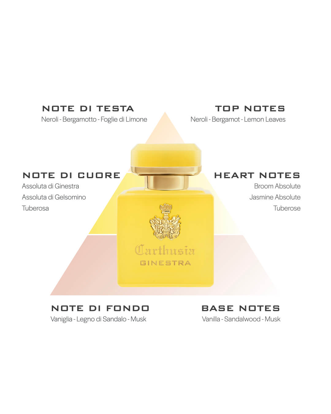 INTENSO DI GINESTRA EXTRAIT DE PARFUM CARTHUSIA