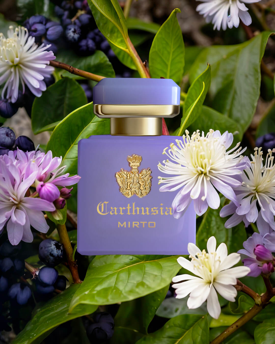 INTENSO DI MIRTO EXTRAIT DE PARFUM CARTHUSIA