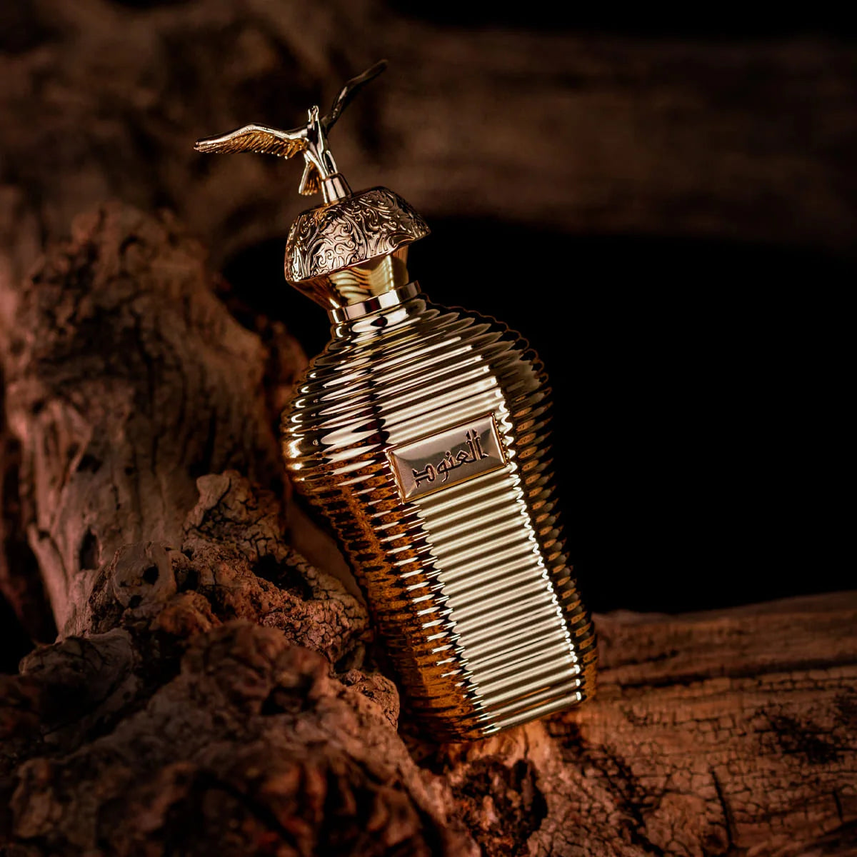 ALANOUD EAU DE PARFUM MAISON ASRAR